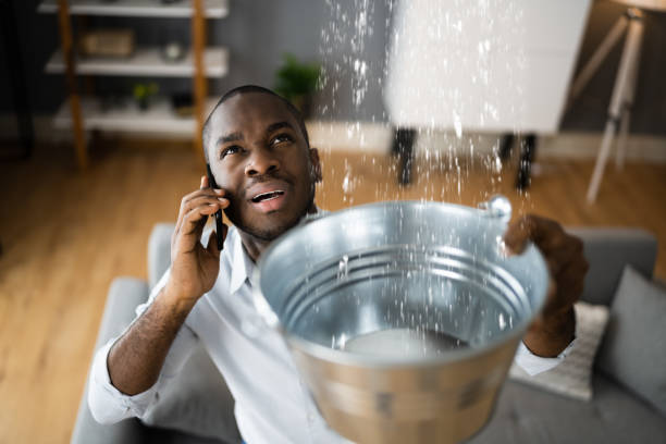 Best Carpet water damage restoration  in Temple Hills, MD
