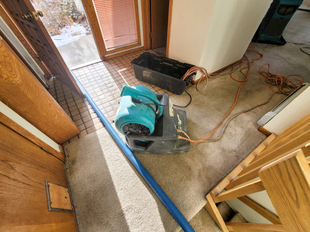 Professional Water damage restoration in MD