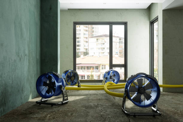 Best Water damage restoration experts  in Temple Hills, MD