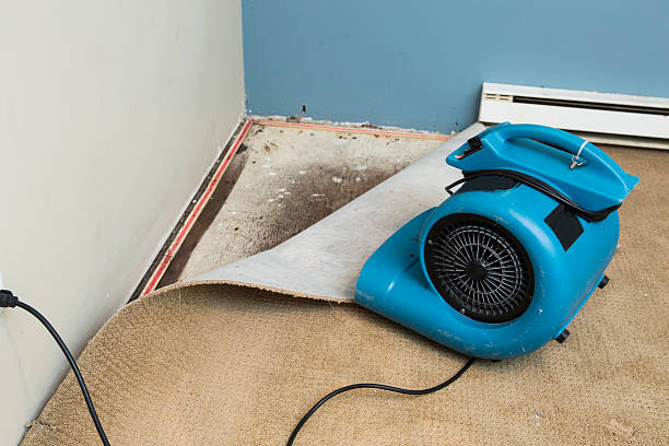 Best 24-hour water damage restoration  in Temple Hills, MD